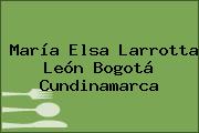 María Elsa Larrotta León Bogotá Cundinamarca