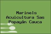 Ver marinels acuicultura sas popayan cauca Marinels Acuicultura Sas Popayán Cauca