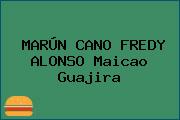 MARÚN CANO FREDY ALONSO Maicao Guajira