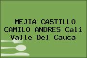 MEJIA CASTILLO CAMILO ANDRES Cali Valle Del Cauca