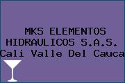 MKS ELEMENTOS HIDRAULICOS S.A.S. Cali Valle Del Cauca
