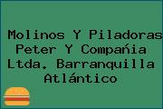 Molinos Y Piladoras Peter Y Compañia Ltda. Barranquilla Atlántico
