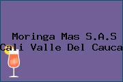 Moringa Mas S.A.S Cali Valle Del Cauca