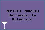 MOSCOTE MARSHEL Barranquilla Atlántico