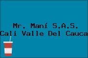 Mr. Maní S.A.S. Cali Valle Del Cauca