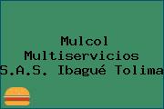 Mulcol Multiservicios S.A.S. Ibagué Tolima