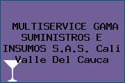 MULTISERVICE GAMA SUMINISTROS E INSUMOS S.A.S. Cali Valle Del Cauca