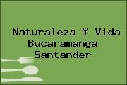 Naturaleza Y Vida Bucaramanga Santander