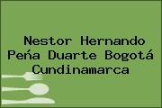 Nestor Hernando Peña Duarte Bogotá Cundinamarca