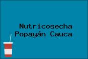 Nutricosecha Popayán Cauca