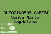 OLEAGINOSAS CARIBÚ Santa Marta Magdalena