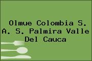 Olmue Colombia S. A. S. Palmira Valle Del Cauca