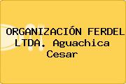 ORGANIZACIÓN FERDEL LTDA. Aguachica Cesar