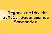 Organización Mr S.A.S. Bucaramanga Santander