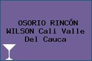 OSORIO RINCÓN WILSON Cali Valle Del Cauca