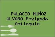 PALACIO MUÑOZ ALVARO Envigado Antioquia