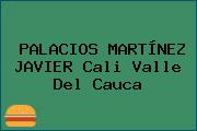 PALACIOS MARTÍNEZ JAVIER Cali Valle Del Cauca