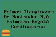 Ver palmas oleaginosas de santander sa palmosan bogota cundinamarca Palmas Oleaginosas De Santander S.A. Palmosan Bogotá Cundinamarca