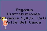 Pegasus Distribuciones Colombia S.A.S. Cali Valle Del Cauca