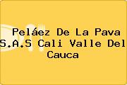 Peláez De La Pava S.A.S Cali Valle Del Cauca