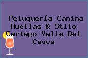 Peluquería Canina Huellas & Stilo Cartago Valle Del Cauca