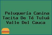 Peluquería Canina Tacita De Té Tuluá Valle Del Cauca