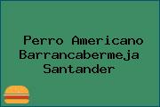 Perro Americano Barrancabermeja Santander