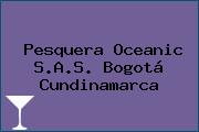 Pesquera Oceanic S.A.S. Bogotá Cundinamarca
