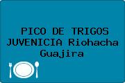 PICO DE TRIGOS JUVENICIA Riohacha Guajira