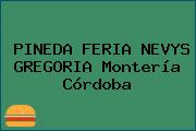 PINEDA FERIA NEVYS GREGORIA Montería Córdoba
