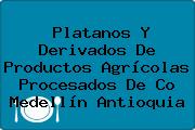 Platanos Y Derivados De Productos Agrícolas Procesados De Co Medellín Antioquia