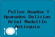 Pollos Asados Y Apanados Delicias Ariel Medellín Antioquia