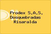 Prodex S.A.S. Dosquebradas Risaralda