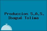 Produccion S.A.S. Ibagué Tolima