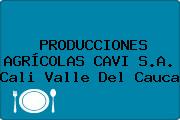 PRODUCCIONES AGRÍCOLAS CAVI S.A. Cali Valle Del Cauca