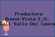 Productora Buena-Vista E.U. Cali Valle Del Cauca