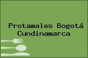 Protamales Bogotá Cundinamarca