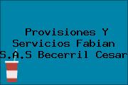 Provisiones Y Servicios Fabian S.A.S Becerril Cesar