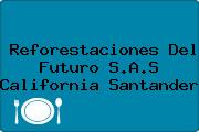 Reforestaciones Del Futuro S.A.S California Santander