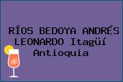 RÍOS BEDOYA ANDRÉS LEONARDO Itagüí Antioquia