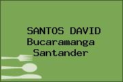 SANTOS DAVID Bucaramanga Santander