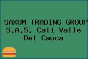 SAXUM TRADING GROUP S.A.S. Cali Valle Del Cauca