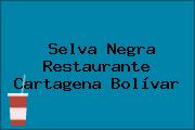 Selva Negra Restaurante Cartagena Bolívar