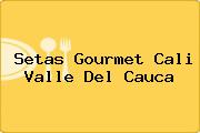 Setas Gourmet Cali Valle Del Cauca
