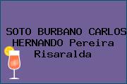 SOTO BURBANO CARLOS HERNANDO Pereira Risaralda