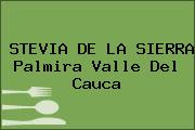 STEVIA DE LA SIERRA Palmira Valle Del Cauca