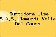 Surtidora Lise S.A.S. Jamundí Valle Del Cauca