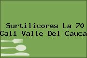 Surtilicores La 70 Cali Valle Del Cauca