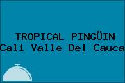 TROPICAL PINGÜIN Cali Valle Del Cauca