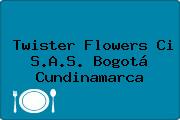 Twister Flowers Ci S.A.S. Bogotá Cundinamarca